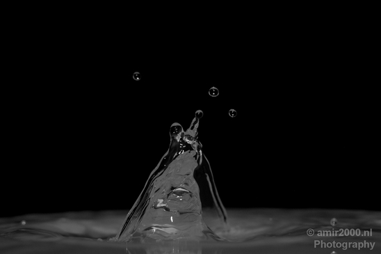 Water_drops_droplet_macro_experiment_Photography_025_Canon_EOS_5D_Mark_IV.JPG