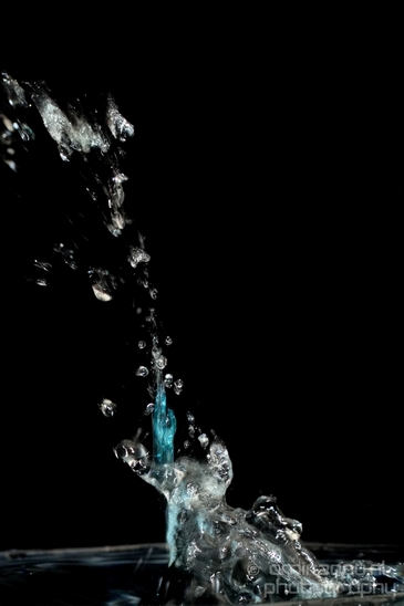 Water_drops_droplet_macro_experiment_Photography_108_Canon_EOS_5D_Mark_IV.JPG