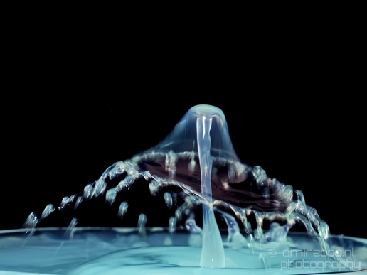 Water_drops_droplet_macro_experiment_Photography_123_Canon_EOS_5D_Mark_IV.JPG