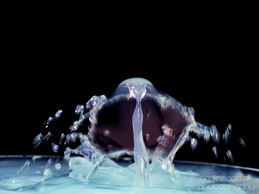 Water_drops_droplet_macro_experiment_Photography_125_Canon_EOS_5D_Mark_IV.JPG