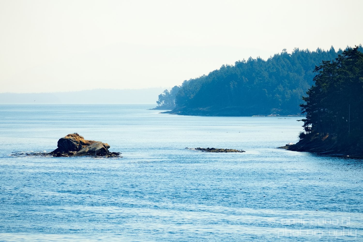 Vancouver Island nature landsacpe British Columbia Canada Usa from usa nature series Photo 214